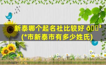 新泰哪个起名社比较好 🌳 (*
市新泰市有多少姓氏)